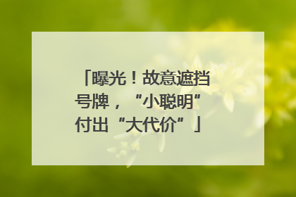 曝光！故意遮挡号牌，“小聪明”付出“大代价”