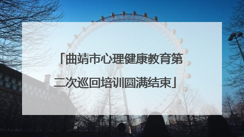 曲靖市心理健康教育第二次巡回培训圆满结束