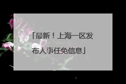 最新！上海一区发布人事任免信息