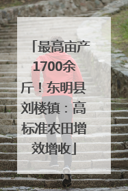 最高亩产1700余斤！东明县刘楼镇：高标准农田增效增收