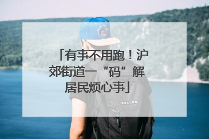 有事不用跑！沪郊街道一“码”解居民烦心事