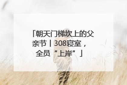 朝天门梯坎上的父亲节丨308寝室，全员“上岸”
