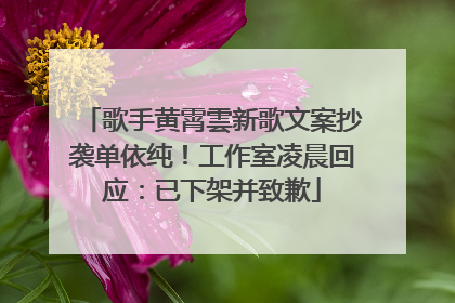 歌手黄霄雲新歌文案抄袭单依纯！工作室凌晨回应：已下架并致歉