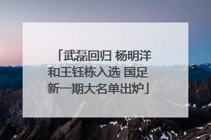武磊回归 杨明洋和王钰栋入选 国足新一期大名单出炉