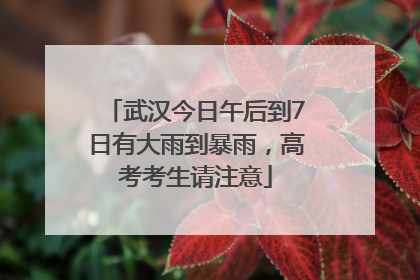 武汉今日午后到7日有大雨到暴雨，高考考生请注意