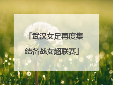 武汉女足再度集结备战女超联赛