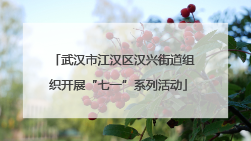 武汉市江汉区汉兴街道组织开展“七一”系列活动