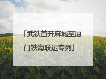武铁首开麻城至厦门铁海联运专列