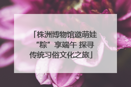 株洲博物馆邀萌娃“粽”享端午 探寻传统习俗文化之旅