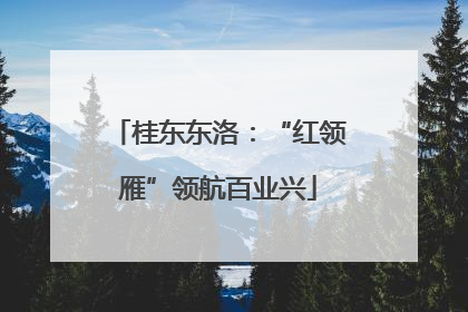 桂东东洛：“红领雁”领航百业兴