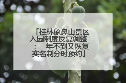 桂林象鼻山景区入园制度反复调整：一年不到又恢复实名制分时预约