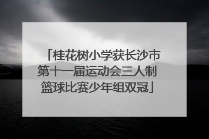桂花树小学获长沙市第十一届运动会三人制篮球比赛少年组双冠