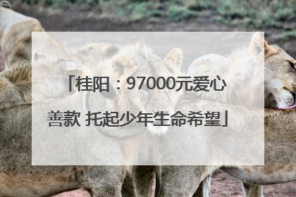 桂阳：97000元爱心善款 托起少年生命希望