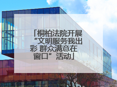 桐柏法院开展“文明服务我出彩 群众满意在窗口”活动