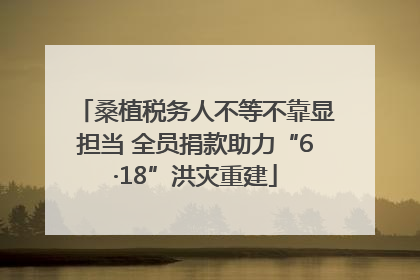 桑植税务人不等不靠显担当 全员捐款助力“6·18”洪灾重建