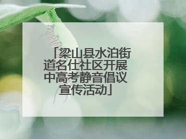 梁山县水泊街道名仕社区开展中高考静音倡议宣传活动