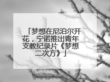 梦想在尼泊尔开花，宁诺推出青年支教纪录片《梦想二次方》