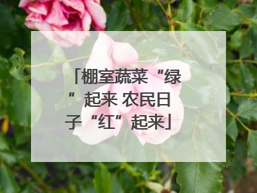 棚室蔬菜“绿”起来 农民日子“红”起来
