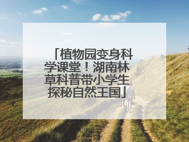 植物园变身科学课堂！湖南林草科普带小学生探秘自然王国