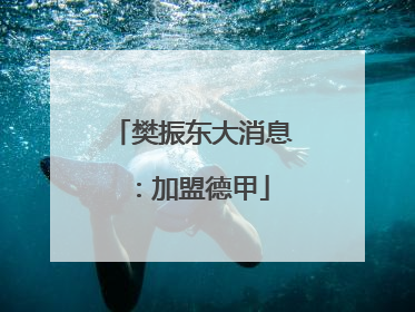 樊振东大消息：加盟德甲