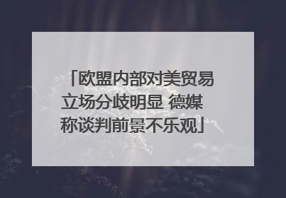 欧盟内部对美贸易立场分歧明显 德媒称谈判前景不乐观