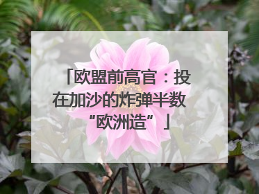 欧盟前高官：投在加沙的炸弹半数“欧洲造”