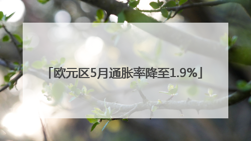 欧元区5月通胀率降至1.9%