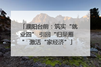 濮阳台前：筑实“就业圈” 引回“归巢雁” 激活“家经济”