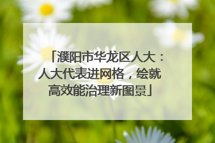 濮阳市华龙区人大：人大代表进网格，绘就高效能治理新图景