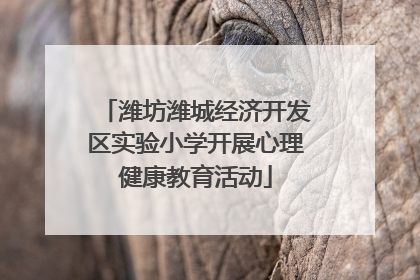 潍坊潍城经济开发区实验小学开展心理健康教育活动