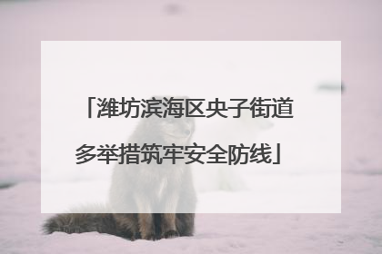 潍坊滨海区央子街道多举措筑牢安全防线