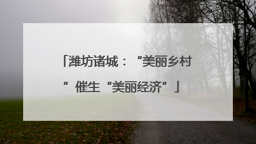 潍坊诸城：“美丽乡村”催生“美丽经济”