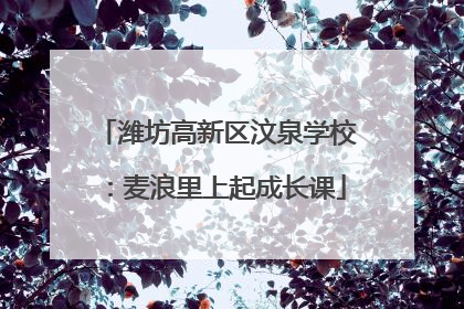 潍坊高新区汶泉学校：麦浪里上起成长课