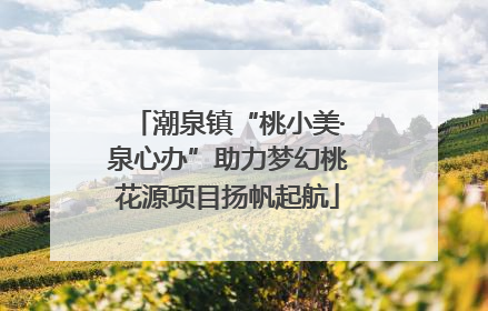 潮泉镇“桃小美·泉心办”助力梦幻桃花源项目扬帆起航