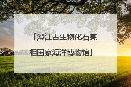 澄江古生物化石亮相国家海洋博物馆