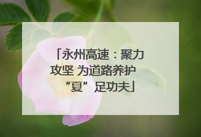 永州高速：聚力攻坚 为道路养护“夏”足功夫