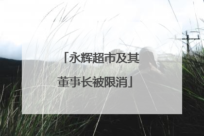 永辉超市及其董事长被限消