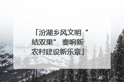 汾湖乡风文明“结双果” 奏响新农村建设新乐章