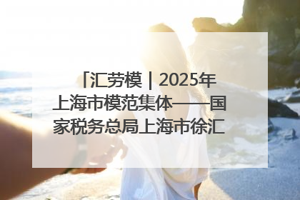 汇劳模｜2025年上海市模范集体——国家税务总局上海市徐汇区税务局第一税务所