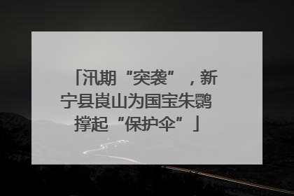 汛期“突袭”，新宁县崀山为国宝朱鹮撑起“保护伞”