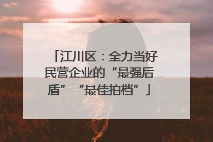 江川区：全力当好民营企业的“最强后盾”“最佳拍档”