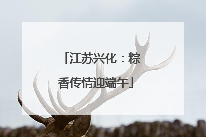 江苏兴化：粽香传情迎端午