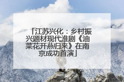 江苏兴化：乡村振兴题材现代淮剧《油菜花开燕归来》在南京成功首演