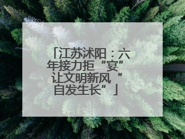 江苏沭阳：六年接力拒“宴” 让文明新风“自发生长”