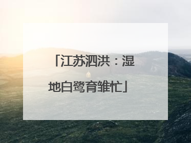江苏泗洪：湿地白鹭育雏忙