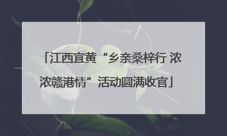江西宜黄“乡亲桑梓行 浓浓赣港情”活动圆满收官