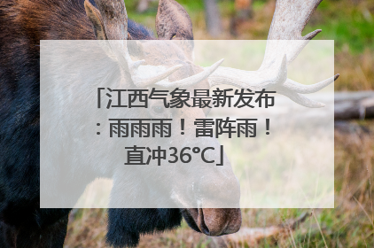 江西气象最新发布：雨雨雨！雷阵雨！直冲36°C