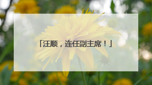 汪顺，连任副主席！