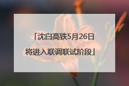 沈白高铁5月26日将进入联调联试阶段
