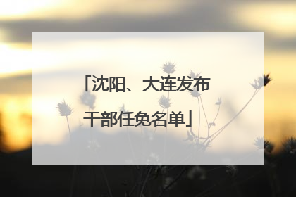 沈阳、大连发布干部任免名单